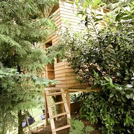 펜션 Relactive-mosel Feriendomizil 트라벤트라바흐